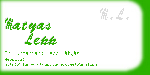 matyas lepp business card
